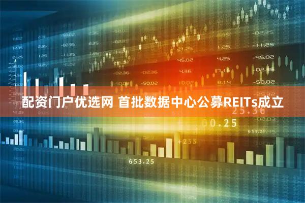 配资门户优选网 首批数据中心公募REITs成立