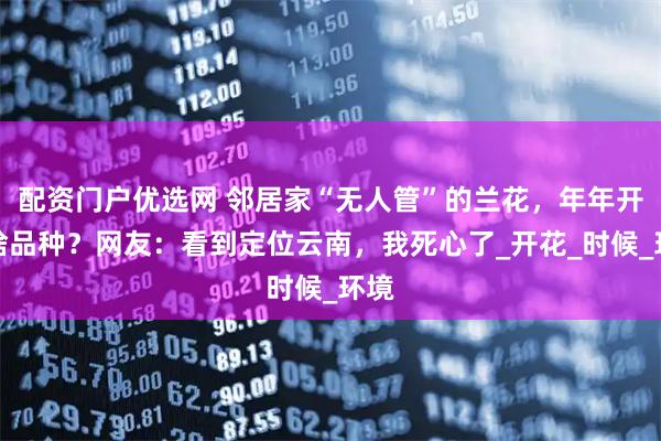 配资门户优选网 邻居家“无人管”的兰花，年年开，啥品种？网友：看到定位云南，我死心了_开花_时候_环境